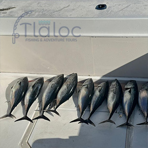 tlaloc fising__adventure_tours_nicaragua 05 small